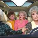 Funny Windshield Sun Shade Foldable Sunshade for Car Windshield Covers Blocks UV Rays Automotive Interior Sun Protection 51 x 27.5 in