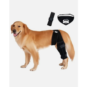 Bark Rx: Dog Knee Brace Hind Leg - Orthopedic Brace for Dogs - Integrated Support Strap for Canine Cruciate Ligament, Luxating Patella, Dislocation Injury - Includes Bandana Collar - Black (M)