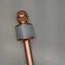 Bluetooth Karaoke Microphone Wireless: Karaoke Mic with Led Lights for Adults Kids Singing - Perfect Toys for Girls Birthday Gifts, 02-Champagne With Light