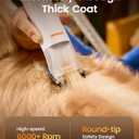 oneisall Dog Grooming Vacuum - 15000Pa Suction, Captures 99% Pet Hair to Reduce Shedding, Dog Grooming Clippers & Quiet Brush (59dB) with 4 Accessories, 2L Dust Canister for Home CleaningOrange