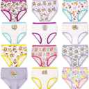 Paw Patrol Girls' 12-Days Advent Underwear to Make The Holidays and Potty Training Fun, 5t
