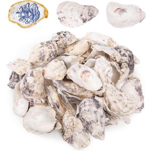 QEQEKAKA 25PCS Oyster Shells 3"-4" Concave Oyster Shells for Crafts Natural Oyster Shells Bulk, for Home Vase Filler, Xmas Ornaments, DIY Arts and Crafts Sea Shells