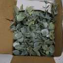Der Rose 2Pcs Fake Plants Hanging Artificial Decor Faux Potted Eucalyptus and Pea Pod Plants for Boho Bathroom Home Office Desk Wall Shelf Bookcase Accessories Decor Indoor (Gray Green)