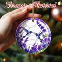 Christmas Ornaments, Hummingbirds Ornament, Christmas Tree Decorations, Holiday Decorations, Holiday Ornaments, Hummingbirds Lover Gifts, Holiday Party Gifts, and Xmas Gift Ideas