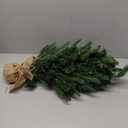 Christmas Tree - CM25031