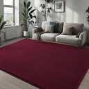 Pettop 5x7 ft Burgundy Red Area Rugs for Bedroom Living Room, Washable Memory Foam Indoor Carpet, Modern Aesthetic Minimalist Non Slip Soft Comfy Carpet for Boys Girls Dorm Home Decor