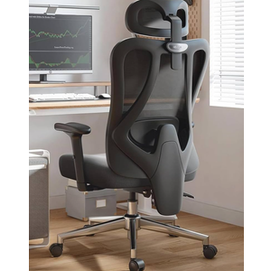 Hbada P3 Ergonnomic Office Chair with 2D Adjustable Lumbar Support, Office Chair with Adjustable Headrest and Armrest, 145° Stepless Tilt Function, Black (No Footrest)