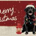 Dlzdn Christmas Black Labrador Dog Door Mat Winter Non-Slip Rubber Backed Entryway Rugs for Indoor Outdoor Entrance Floor 16 x 30 Inch