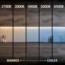 Armacost Lighting RibbonFlex Pro 12V White LED Strip Lights 60 LED/m, 4000K, 8.2 ft 152210