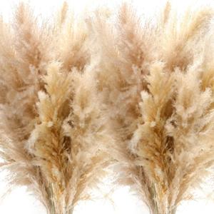 Tigeen 10 Pcs 40 Inch Tall Pampas Grass Stems Beige Fluffy Natural Dried Pampas Grass Floral Decor, Bouquet for Floor Vase, Wedding Floral Arrangements, Party, Farmhouse, Boho Home Decor