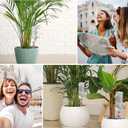 14Pcs Upgrade Plant Self Watering Spikes,Potted Plant Drip Irrigation Slow Automatic Release,Adjustable Watering System Devices with Control Valve Switch for Outdoor Indoor Plants (7 Green + 7Orange)