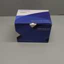 7" Double Din Car Stereo with Wireless Apple CarPlay & Android Auto, Built-in DSP Exclusive, 240W Hi-Power Audio, Bluetooth 5.3 Handsfree, FM Radio, Steering Wheel Control