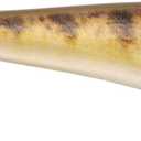 Berkley Fishing Hook Size 6, High Carbon Steel, Stainless Steel (HD Yellow Perch)