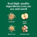 2 x Nutro Crunchy Dog Treats with Real Apple, 10 oz.Bag