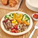 Vplus 500 Pack Paper Plates 9 inch 100% Compostable, Heavy-Duty Disposable Paper Plates Bagasse Natural Biodegradable Eco-Friendly SugarcaneNature