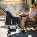 3 Wheel Pet Stroller for Dogs and Cats, Foldable, Lightweight and Durable, Ideal for Small to Medium Pets, Includes Storage Basket and Cup Holders, Black