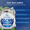 Flow Pouches Mushroom Nootropic Pouches, 600mg Lion's Mane Reishi Cordyceps Energy Pouches for Focus and Clean Energy, Caffeine Free Sugar Free Nicotine Free, Now Made in USA (5 Cans, Cool Mint)