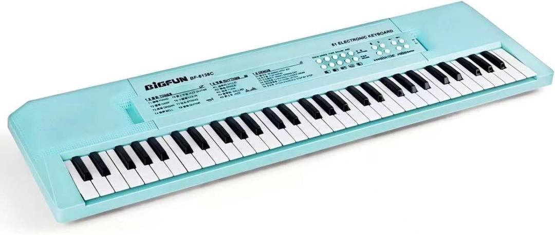 Raimy 61 Key Electric Keyboard Piano for Kids with Microphone, Compact
