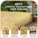ZNCMRR Reed Fencing Rolls Natural Bamboo Fence 4 Feet High Privacy Screen Curtains Fence for Balcony Patio Garden Backyard Shades Outdoor 4FT X 16.4FT Yellow