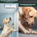 EXPAWLORER Anti Slip Dog Socks to Prevent Licking Paws,Dog Shoes for Cold Winter, Dog Booties for Hardwood Floors, Dog Boots & Paw Protectors with Grippers for Small Medium Large Senior Dogs Black XS