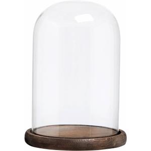 MyGift The Bell Jar Glass Cloche with Rustic Wood Base, 10 Inch Tall Clear Decorative Glass Dome Display for Plants, Curios, Keepsakes, Heirlooms