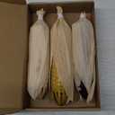 Weysat 3 Pcs Corn Ornament Fake Corn on The Cob Decor with Husks Handmade Bamboo Woven Ornament Rustic Farmhouse Harvest Decor for Home Kitchen Wall Door Shelf Fireplace