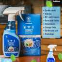 All Natural Bug Spray for Home - Non-Toxic Peppermint Oil Insect and Pest Control Kit - 8 oz Ready-to-Use Bug Spray - Indoor and Outdoor Protection- Ant Spray - Spider Repellent Indoor
