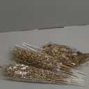 ROSELEAF 28 Pack Christmas Tree Ornaments Set, Champagne Artificial Glitter Berry Flowers Stem Branches Picks for Xmas Tree Decoration Gift Small Vase Home Holiday Wedding Party Decor