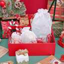 QIANF 20 Pcs White Small Organza Bags 4X6 inch for Wedding Favors with Drawstring, Mini Mesh Gift Bags Jewelry Pouch for Candy Bridal Shower Party Favor Baby Shower Christmas