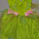 Disguise Disney Baby Costumes My First Princess Infant Dress Up Halloween (12-18 Months, Green)