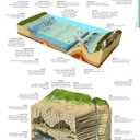 Merriam-Webster’s Visual Dictionary: Second Edition - Newest Edition: Second Edition
