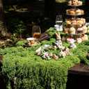 Wonderland Tea Party Decoration 47 x 12.6 Inches Artificial Dried Moss Table Runner Enchanted Forest Decorations Fairy Decor for Garden Spring Tea Party Holiday Wedding Dinner Birthday
