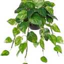 Hollyone Artificial Hanging Pothos Plants Potted Fake Ivy Faux Pothos Vine Leaves Hanging Greenery Plant in Black Pot for Home Indoor Tabletop Bedroom Patio Shelf Office Decor