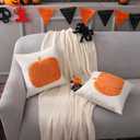 LUOYEHK Halloween Throw Pillow Covers 18x18 Set of 2 Orange Pumpkin Embroidered Pillow Cases Holiday Thanksgiving Velvet Cushion Covers for Couch Sofa Bed