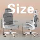 Ergonomic Office Chair for Back & Neck Pain Relief, Virgin Foam Seat, 2D Adjustable Lumbar & 3D Headrest, Tilt & Rock for Relaxation, Ideal for Long Sitting Comfort, Gray/Silver