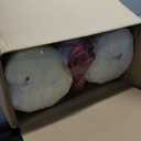 Outdoor Patio Chair Cushions Set, 24" x 24", Set of 2, Water-Repellent, Fade Resistant, Deep Seat Bottom and Back Cushion for Backyard, Couch, Sofa and Patio Furniture, Red