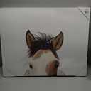 JLA Home It's in the Eyes Printed Canvas - 28 x 22 in