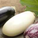 8 x 30+ Seeds Eggplant Long Mix - Vegetable Multicolor