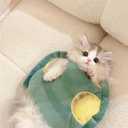 Cute Cat Costumes Turtle Shell Kawaii Kitten Clothes Dog Puppy Vest Pet Apparel (Large,Turtle Shell)