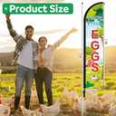 HunnmingRe 2 Sets Farm Fresh Eggs Feather Banner Flag Kit 12ft Advertising Feather Flags with Flag Poles Windless Business Flags Banner Sign for Farm Fresh Eggs Outside Business