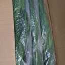 3 Pcs Artificial Norfolk Pine Garlands Christmas, 9 FT Dense Real Touch Winter Pine Garland Ornament, Green Artificial Greenery Garland for Table, Mantle, Wall, Indoor, Outdoor Christmas Decorations