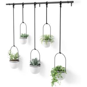 Umbra Triflora Hanging Planter for Window, Indoor Herb Garden, Set of 5, White/Black