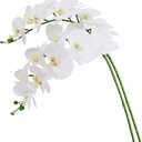 Htmeing 38 Inch Artificial Phalaenopsis Flowers Branches Real Touch (Not Silk) Orchids Flowers for Home Office Wedding Decoration,Pack of 2 (White)