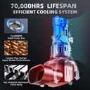 9006 Fog Light Bulbs, Super Bright 6500K Cool White,700% Brighter Than Halogen, Plug & Play, Mini Size Direct Fit, Pack of 2