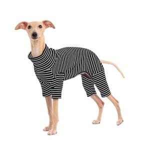 Dog Sweaters for Small Dogs Girls Boys, Striped Pet Sweaters for Fall Winter Dog Clothes, Turtleneck Pullover Knitwear for Small Medium Dogs, XL