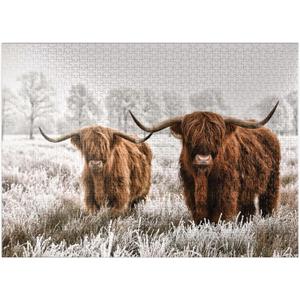 MyPuzzle Hairy Scottish Highland Cattle in A Winter Landscape - Premium 1000 Piece Jigsaw Puzzle for Adults