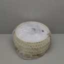 WUZUPS Rattan Boho Chandelier Rustic Farmhouse Industrial Round Coastal Hanging Pendant Light Fixture Wicker Lampshade for Dining Room Kitchen Island Foyer Entryway, H 19.6" x W 15.9", Gold