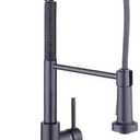 Glacier Bay Paulina Single-Handle Spring Neck Pull Down Sprayer Kitchen Faucet in Matte Black