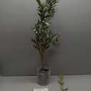 Nearly Natural 3.5ft. Olive Artificial Tree