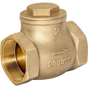 Eastman Brass Swing Check Valve, 2 Inch IPS, Brass Plumbing Fitting, 20431LF